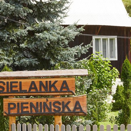 Villa Sielanka Pieninska Krościenko Exterior foto